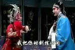 游西湖 自花园赠梅两相恋》