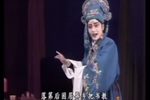 双错遗恨 全本