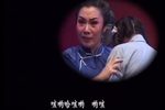 华子良 全本