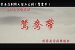 鸳鸯带