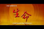 生命