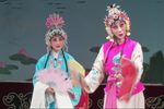 火焰驹·表花
