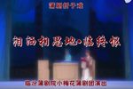 泪洒相思地·临终恨