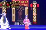 河阳知府