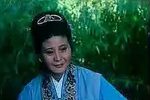 窦娥冤 电影版