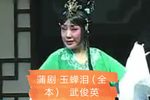玉蝉泪