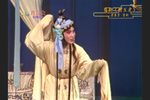 赠玉虎