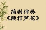 鞭打芦花