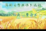 青丝恨 选段（自制字幕）