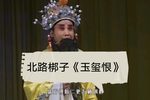 玉玺恨下载