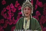 探妻下载