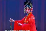 双玉蝉