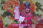 打金枝下载