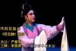 双玉蝉
