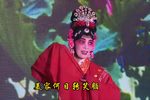 站花墙