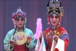 站花墙下载
