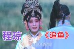 追鱼