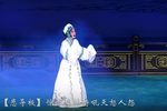 赵玉贞装疯 选段