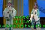 庵堂认母下载