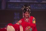 双玉蝉 悲蝉（选段）