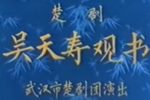 吴天寿观书