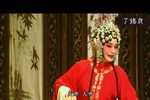 双玉蝉 全本下载