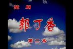 郭丁香 第二本