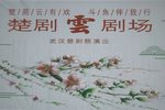 站花墙 直播录屏下载