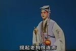站花墙下载