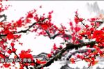 警钟长鸣》