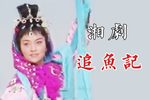 追鱼记