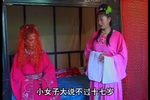 双换亲 3