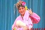 西游记·八戒闹庄(猴变) 字幕版