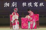桂枝写状 全折