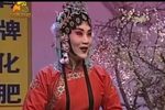 蝴蝶媒 选段