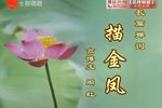描金凤 共28回
