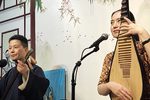 花好月圆 苏州琵琶语