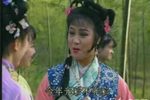 龙泉情
