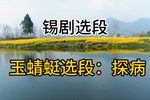 玉蜻蜓 探病
