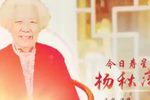 夕阳红下载