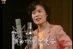 寻儿记 1985年太湖梅花