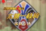 太湖一枝梅 经典版