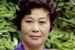 珍珠塔 全本