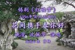 红楼梦 花间携手春怀好
