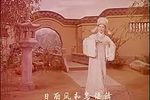 双珠凤 电影版