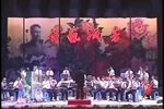 菊苑风光