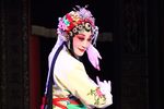 豆腐宴 梅花奖作品