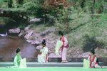 梨花情
