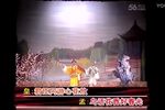 君臣游园 音配像 标清