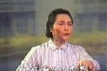 春兰 片段